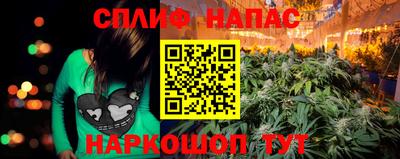 гидра Пыть-Ях