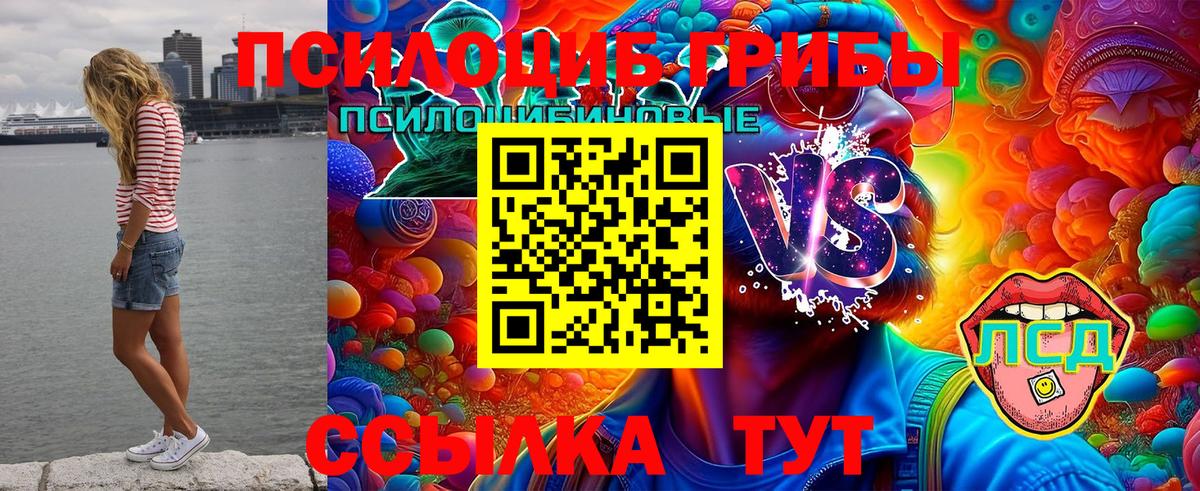 Псилоцибиновые грибы Cubensis  Вход с VPN  Пыть-Ях 