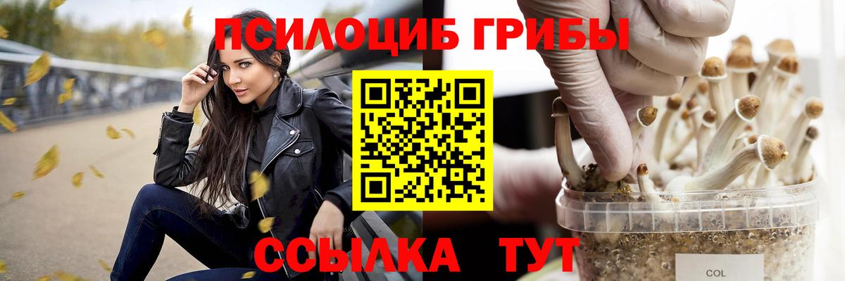 Галлюциногенные грибы Psilocybine cubensis Пыть-Ях